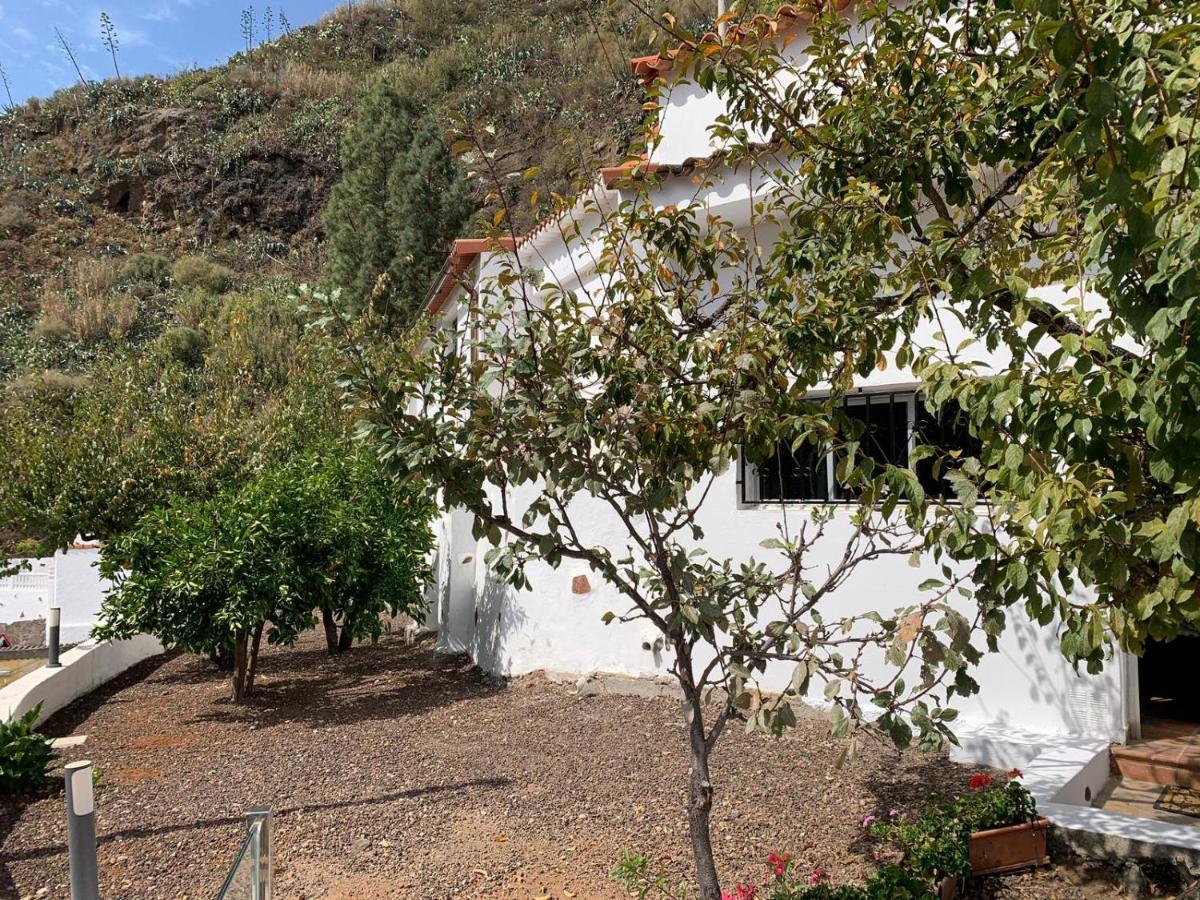 Casa Rural La Yedra San Mateo Arbejales Dış mekan fotoğraf
