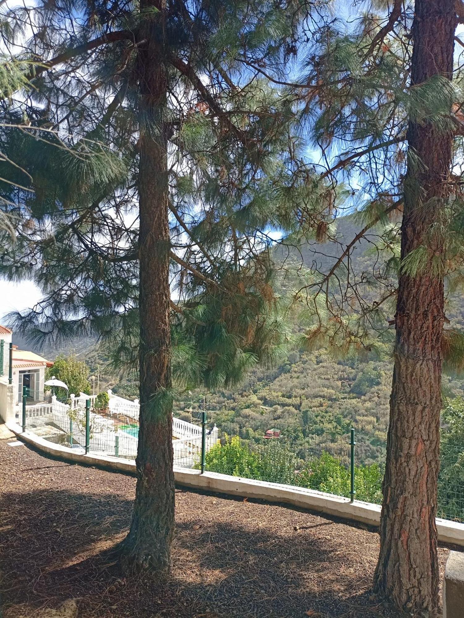 Casa Rural La Yedra San Mateo Arbejales Dış mekan fotoğraf