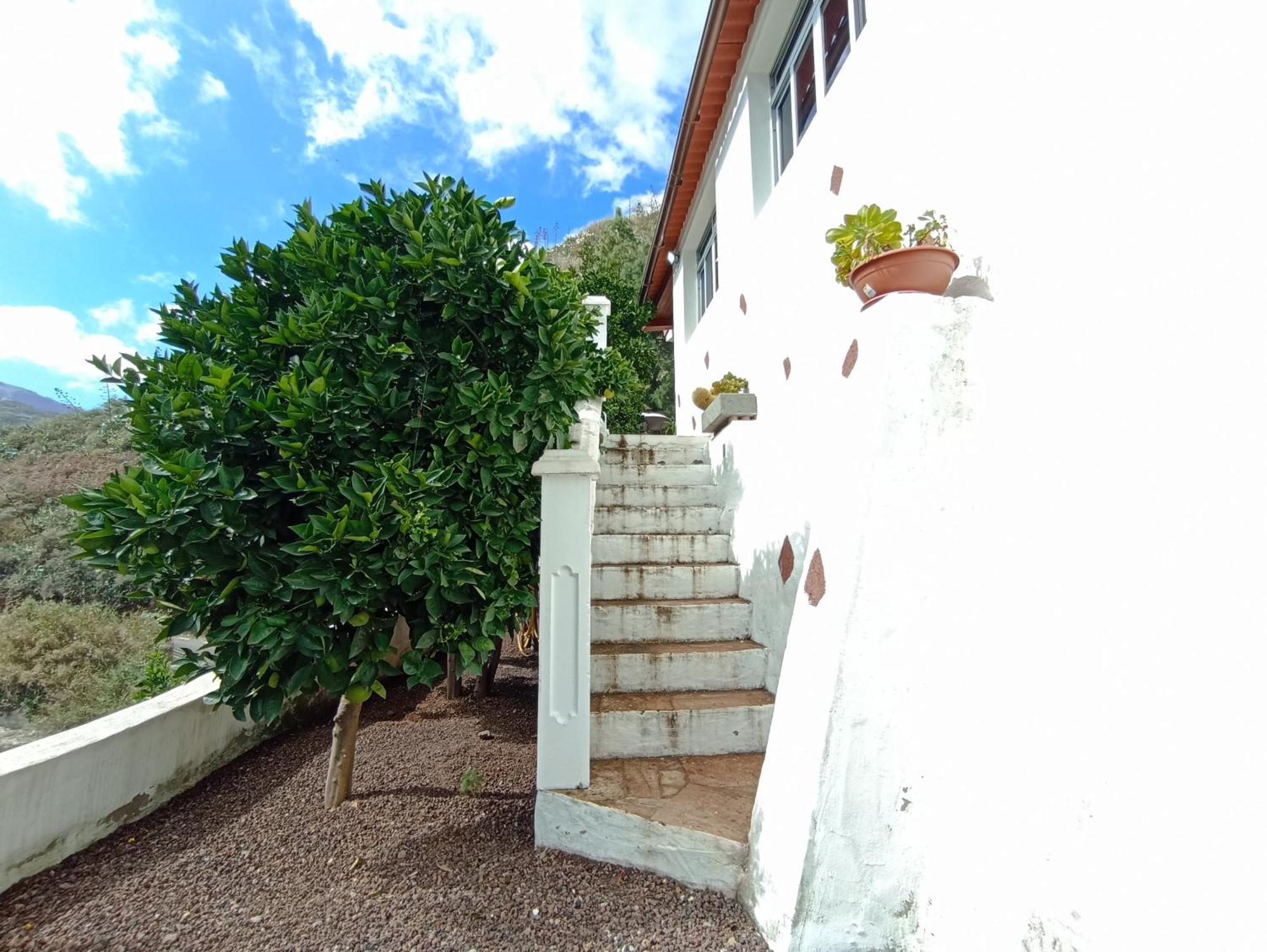 Casa Rural La Yedra San Mateo Arbejales Dış mekan fotoğraf